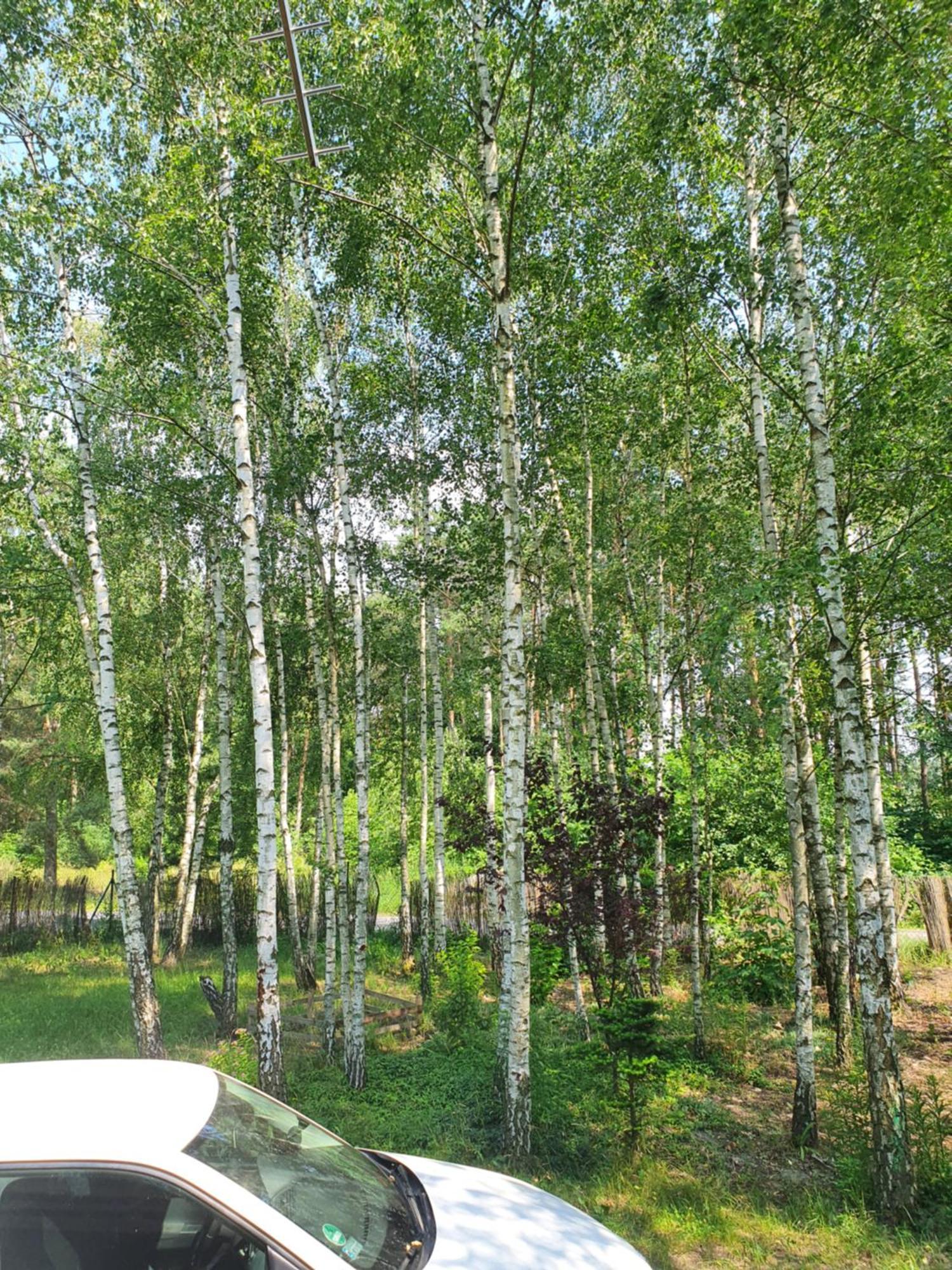 Domek Letniskowy Treby Stare 外观 照片